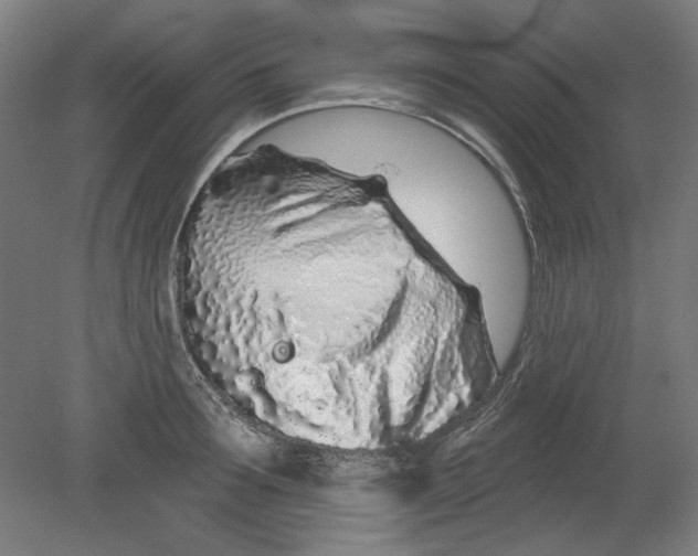 X0000080740899200701051141