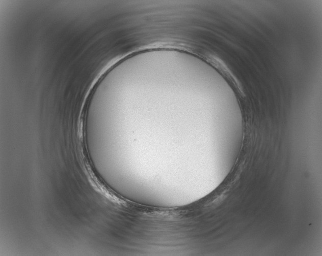 X0000080740900200701051141