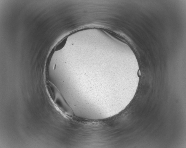 X0000080740902200701051141