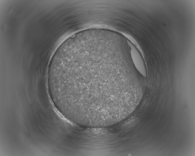 X0000080740903200701051141