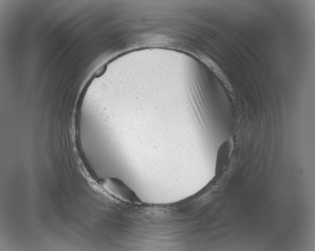 X0000080740904200701051141