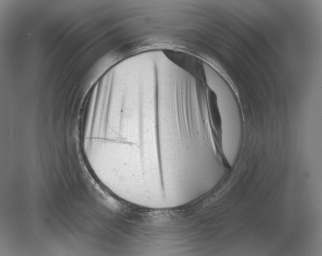 X0000080740906200701051141