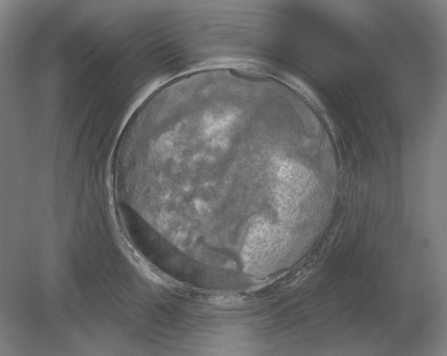 X0000080740907200701051141