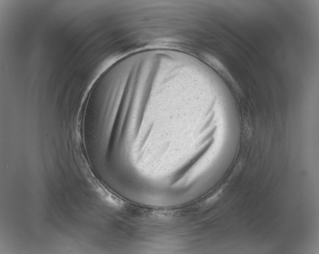 X0000080740908200701051141