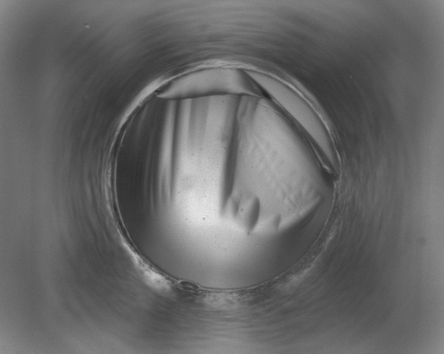 X0000080740909200701051141