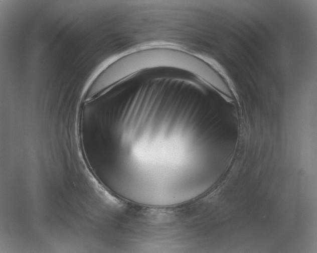 X0000080740910200701051141