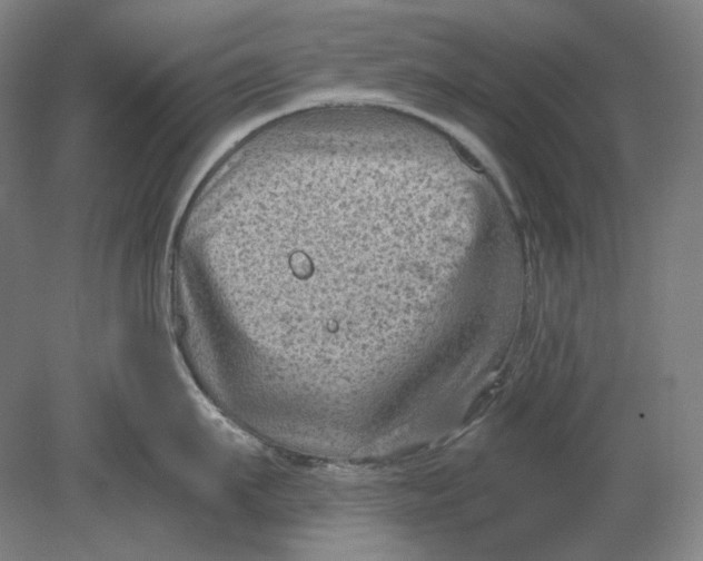 X0000080740911200701051141