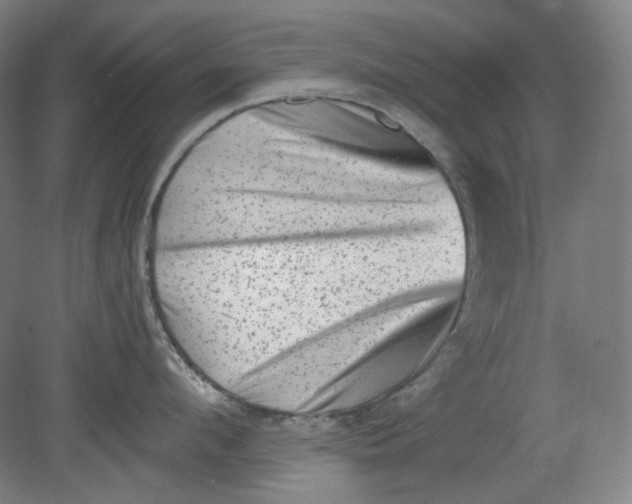 X0000080740912200701051141