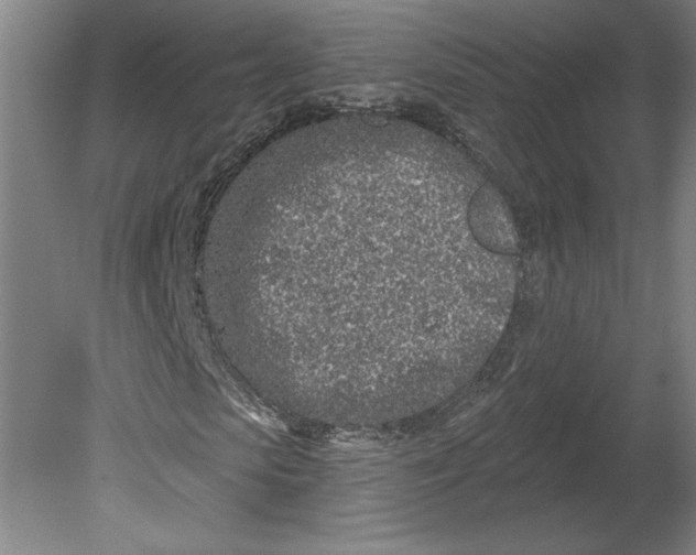 X0000080740913200701051140