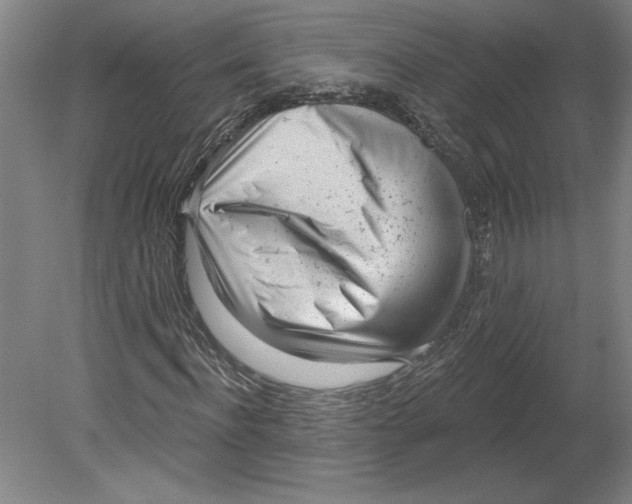 X0000080740916200701051140