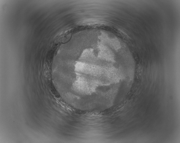 X0000080740917200701051140