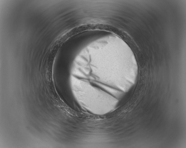 X0000080740919200701051140