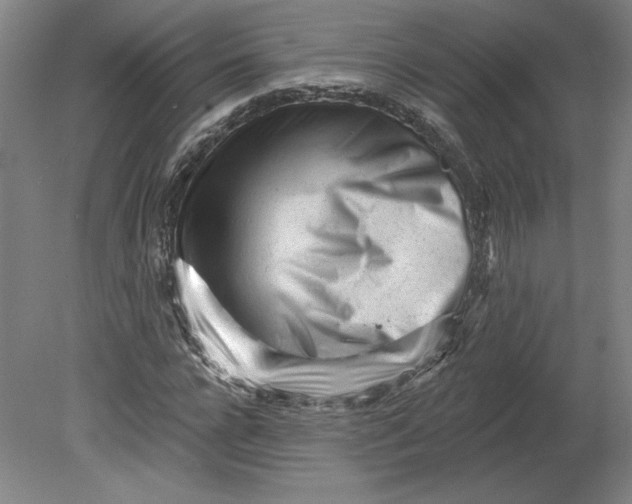 X0000080740920200701051140