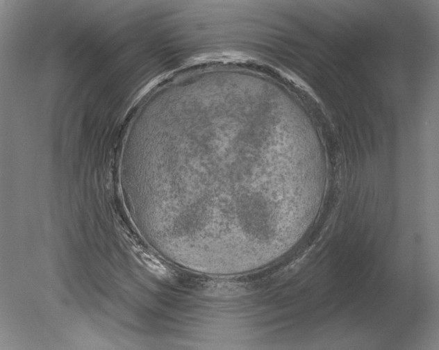 X0000080740921200701051140