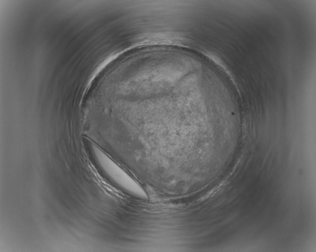 X0000080740925200701051140