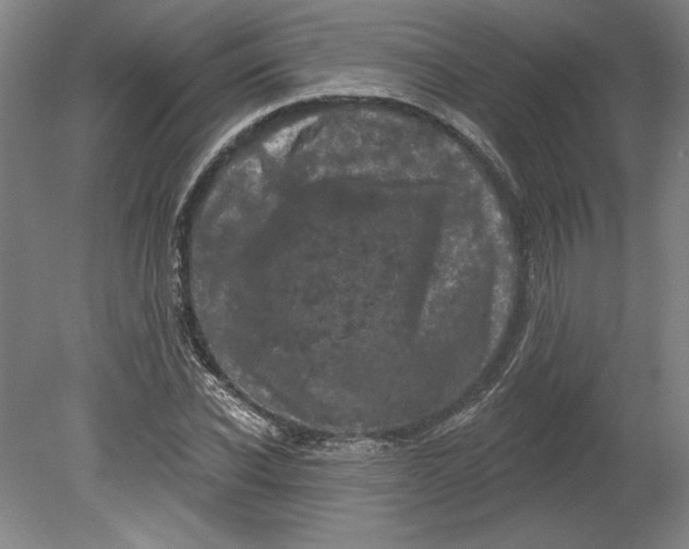 X0000080740926200701051140