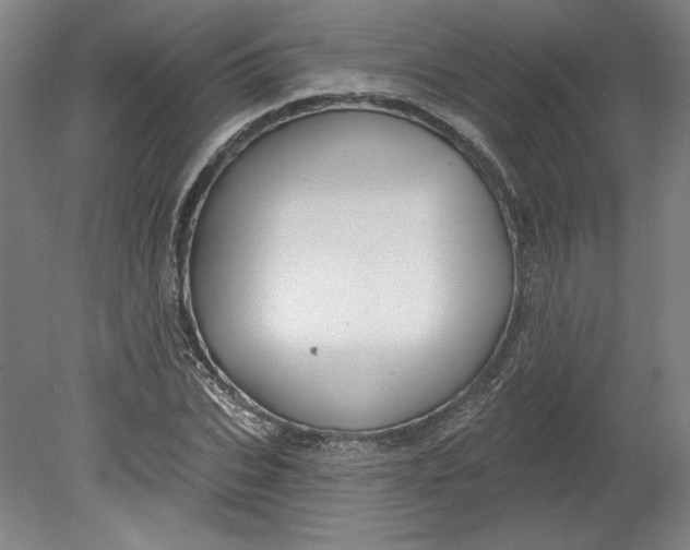 X0000080740927200701051140