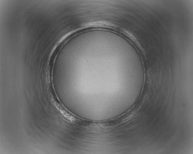 X0000080740931200701051141