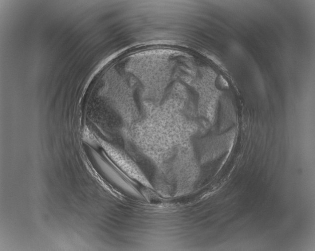 X0000080740933200701051141