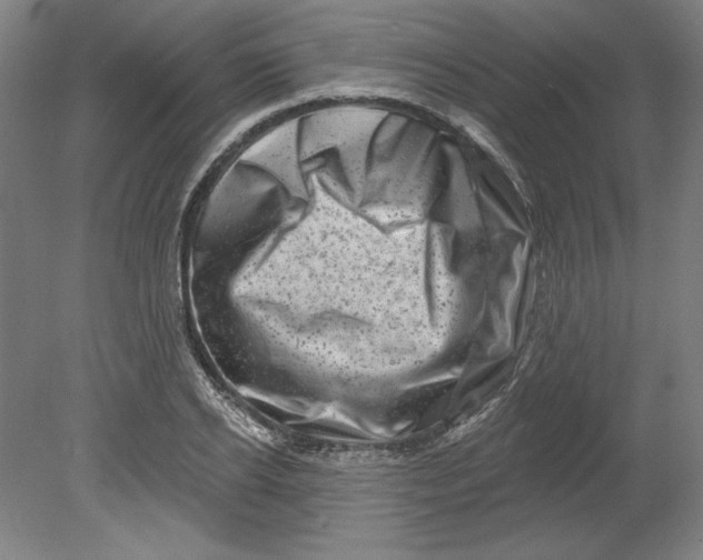 X0000080740934200701051141