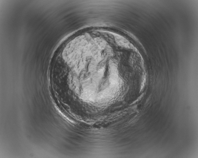 X0000080740935200701051141