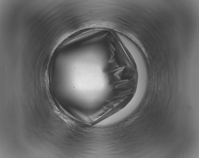 X0000080740936200701051141