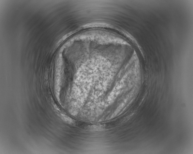 X0000080740937200701051141