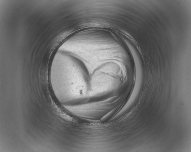 X0000080740938200701051141