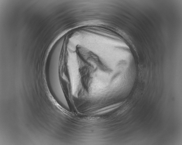 X0000080740939200701051141