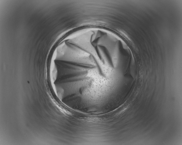 X0000080740940200701051141