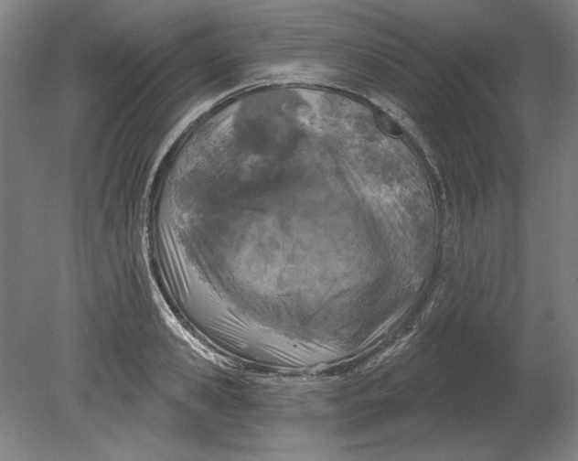 X0000080740941200701051141