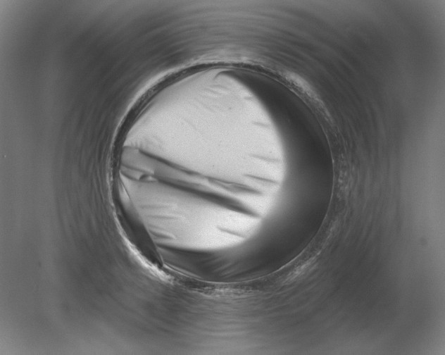 X0000080740942200701051141