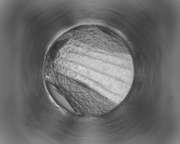 X0000080740943200701051141