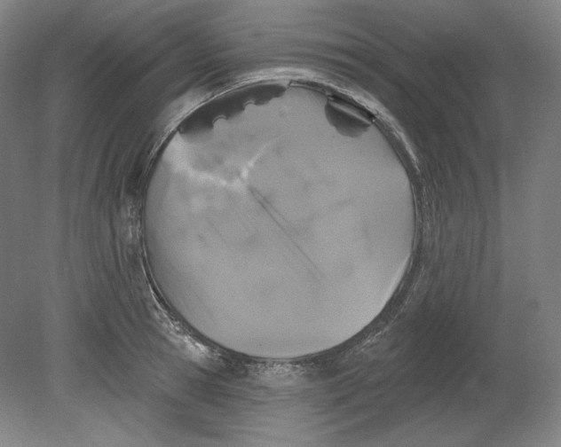 X0000080740945200701051141