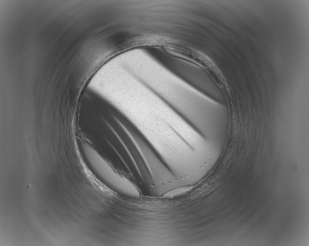 X0000080740946200701051141