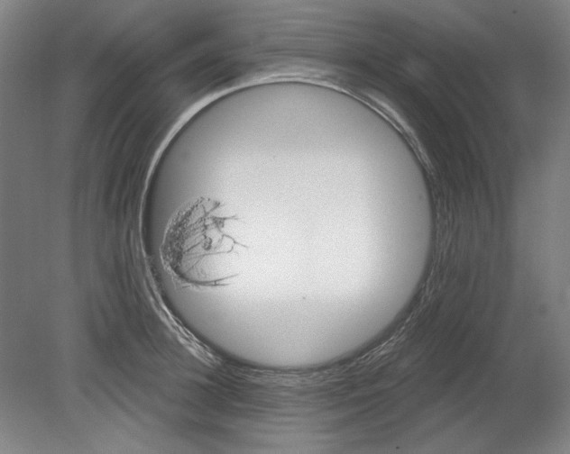 X0000080740948200701051141