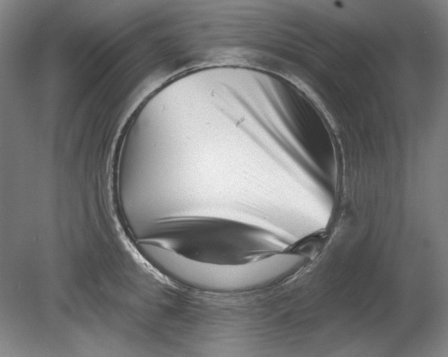 X0000080740949200701051141