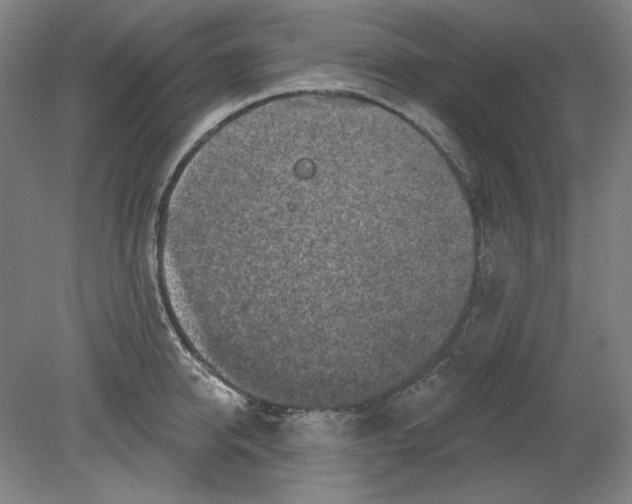 X0000080740950200701051141