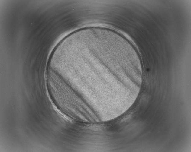 X0000080740951200701051141