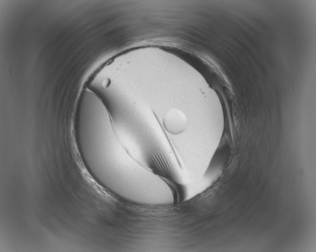 X0000080740952200701051141