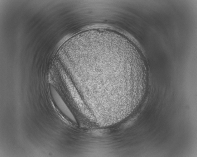 X0000080740953200701051141