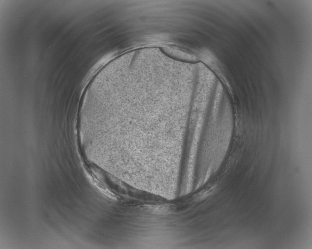 X0000080740954200701051141