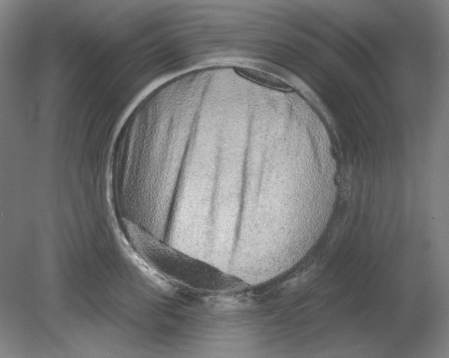 X0000080740955200701051141