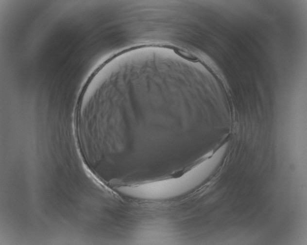 X0000080740958200701051141