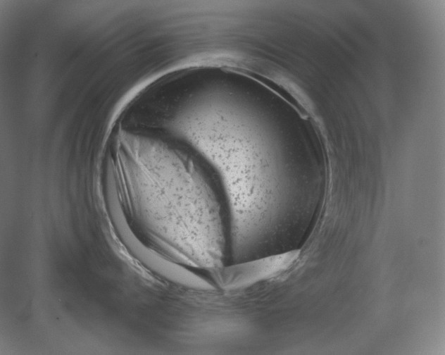 X0000080740960200701051141