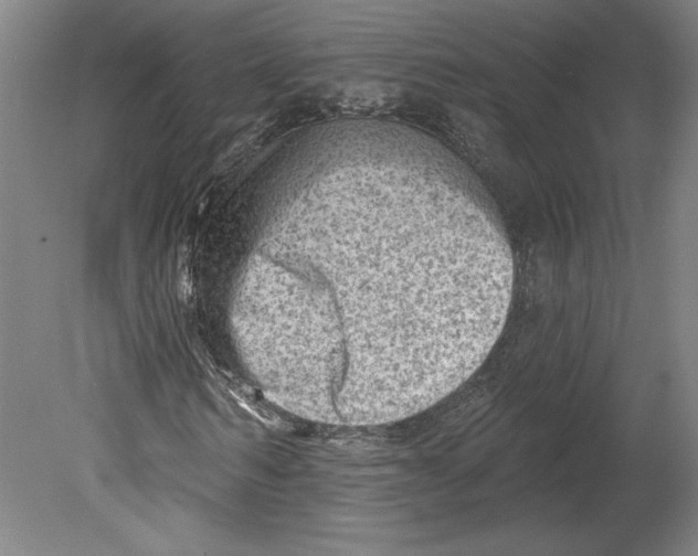 X0000080740962200701051140