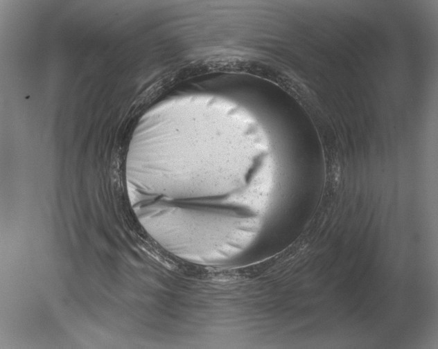 X0000080740964200701051140