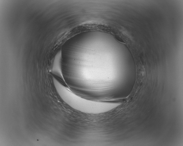 X0000080740965200701051140