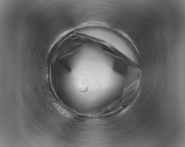 X0000080740973200701051140