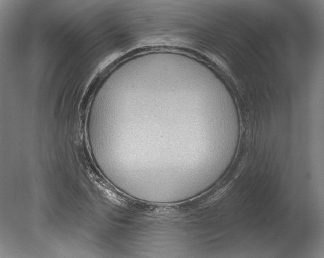 X0000080740974200701051140